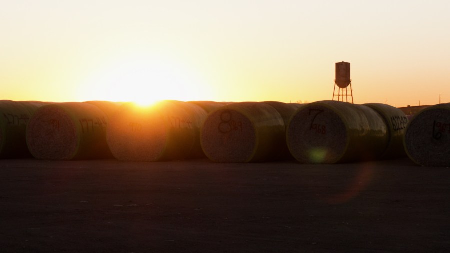  Big Country agriculture facing weather and legislative concerns in 2025 