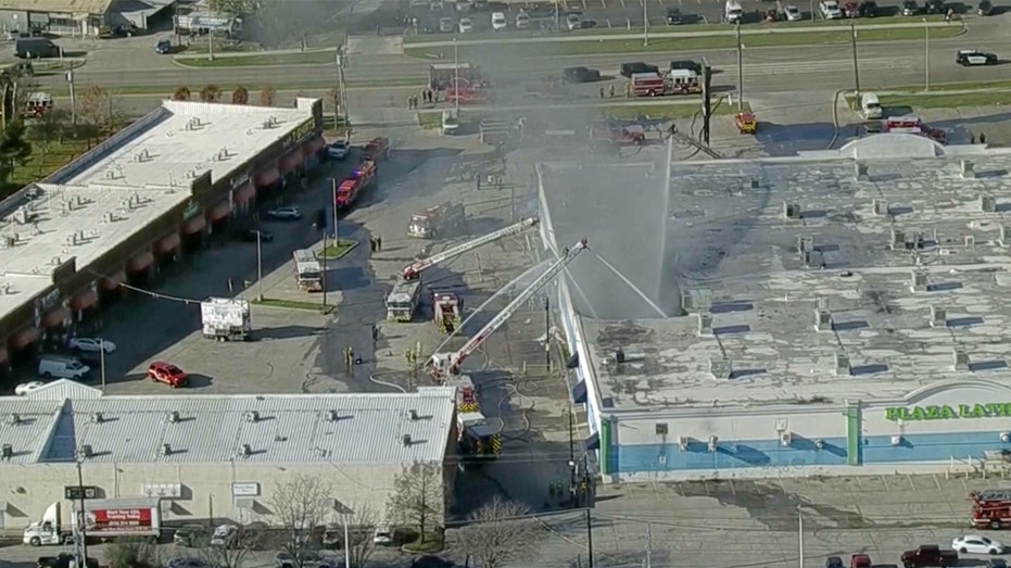  More than 500 animals killed during fire at Texas shopping center 