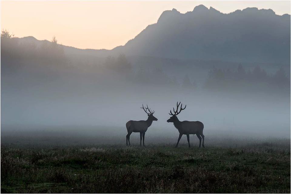  2024's Most-Loved Snoqualmie Valley Photos and Videos on Instagram - Living Snoqualmie 