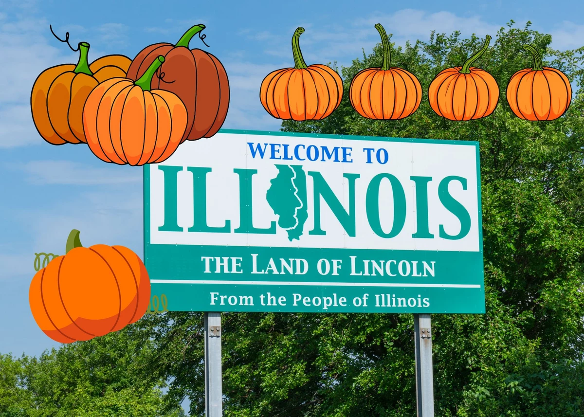  The Pumpkin Capital Of The World Is In Illinois 