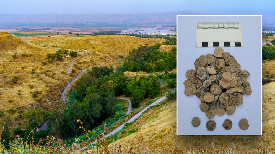  Ancient treasure, largest of its kind in Israel, found buried in 2,100-year-old kitchen 