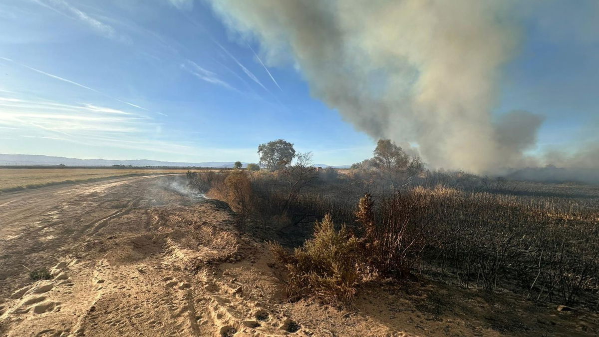  ICFD battles brush fire, approximately seven acres burned 