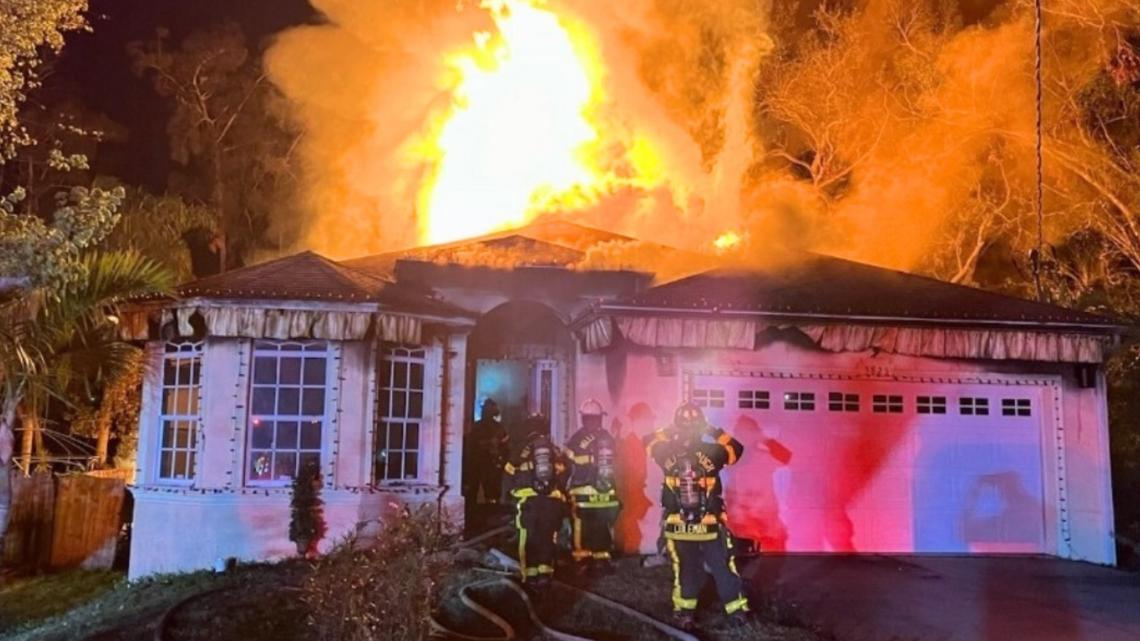  House fire in Tampa traps two dogs inside, firefighters can only rescue one 