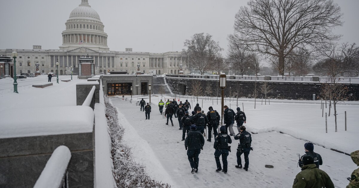  WATCH: Jimmy Carter's funeral services begin in Washington, D.C., today 