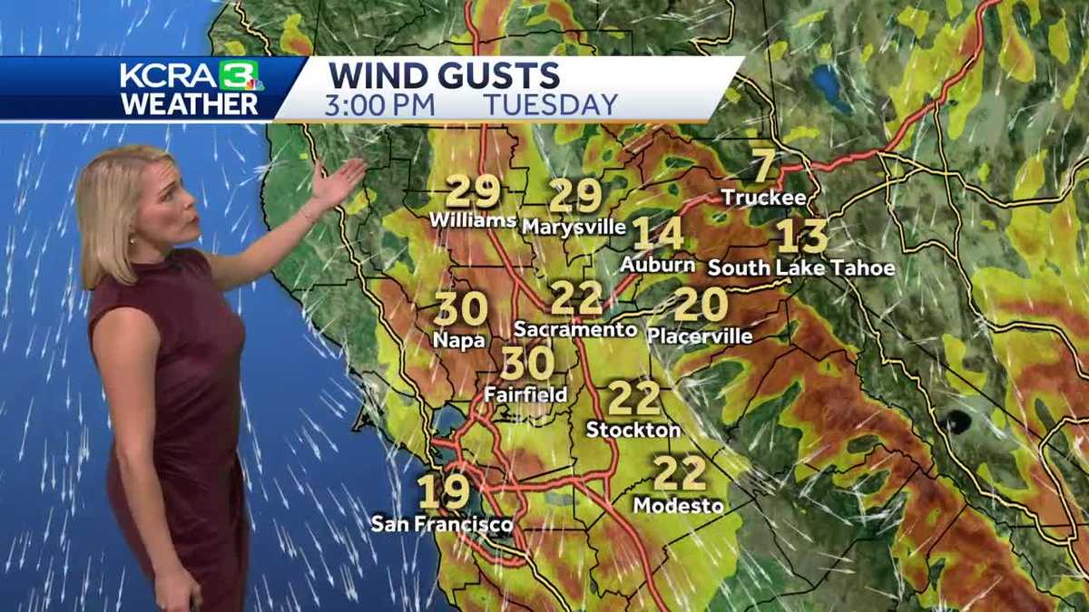  Gusty winds and sunny skies for Tuesday  