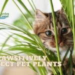  9 Pawsitively Perfect Plants Safe for Your Furry Friends 