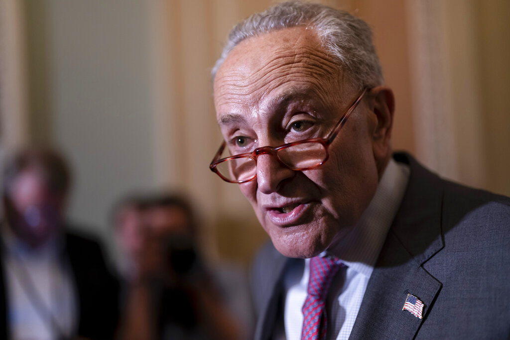  Schumer Comfortable at Home, Imperiled in Washington 