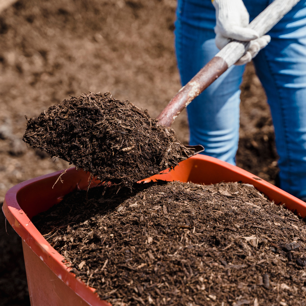   
																South Phoenix Mulching Business to Cease Operations Following Court Settlement 
															 