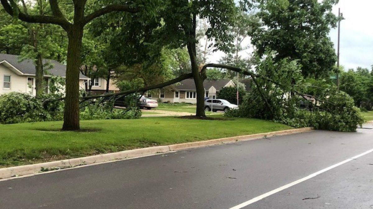  National Weather Service To Survey Chicago Suburbs for Potential Tornado Damage 