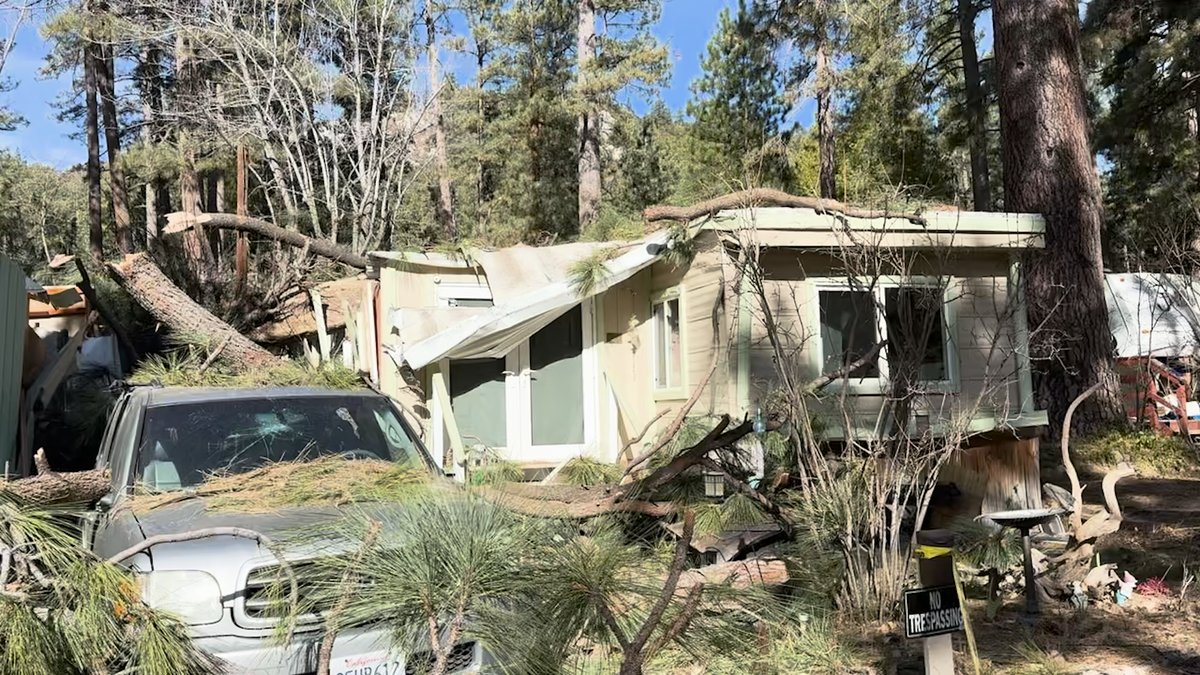  Idyllwild enfrenta daños después de los fuertes vientos de la semana pasada, con más vientos de Santa Ana en camino 