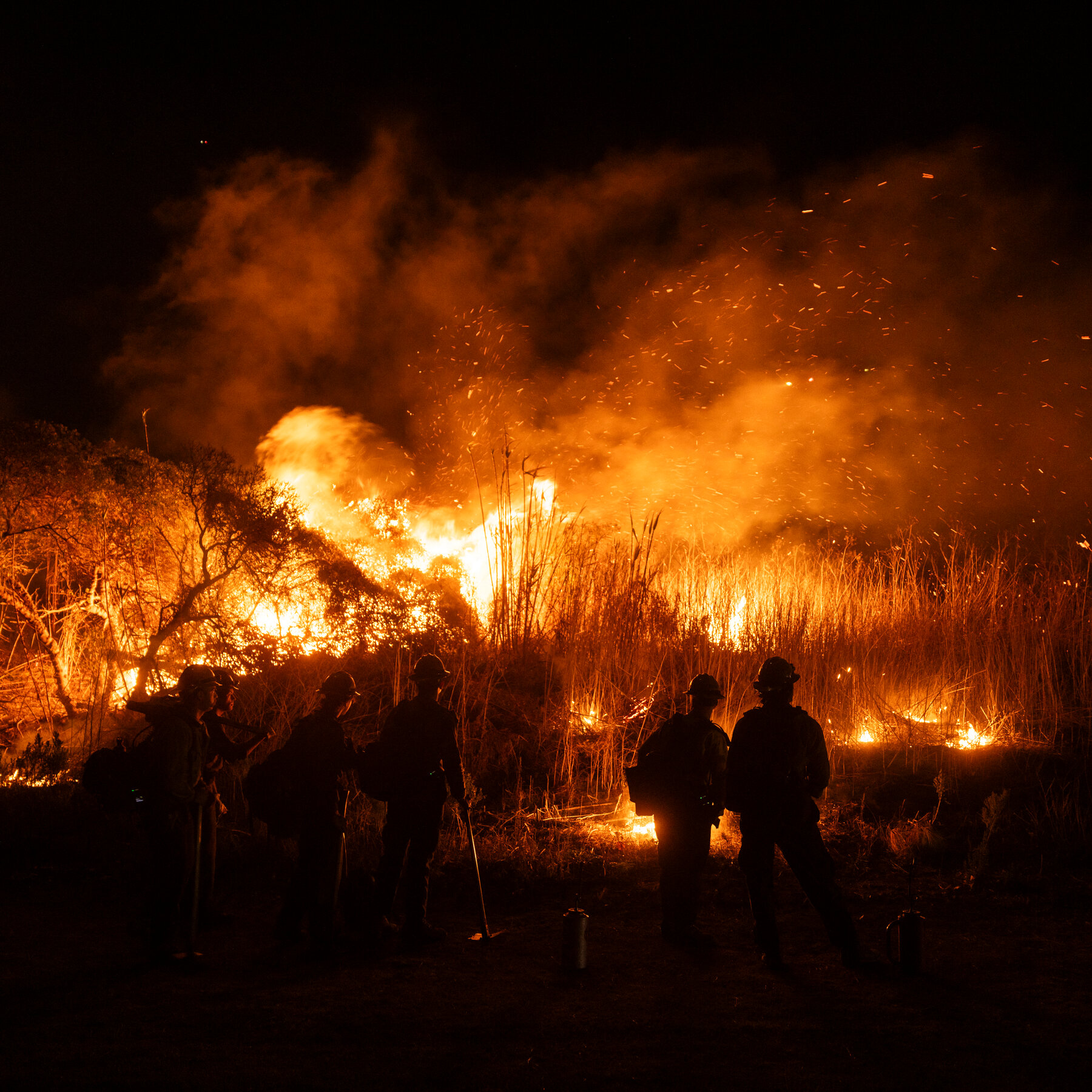  The Wait, the Worry and the Fear Amid the California Fires 