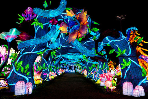  Last Chance to Experience the Enchanting Tianyu Lights Festival in Grand Prairie 