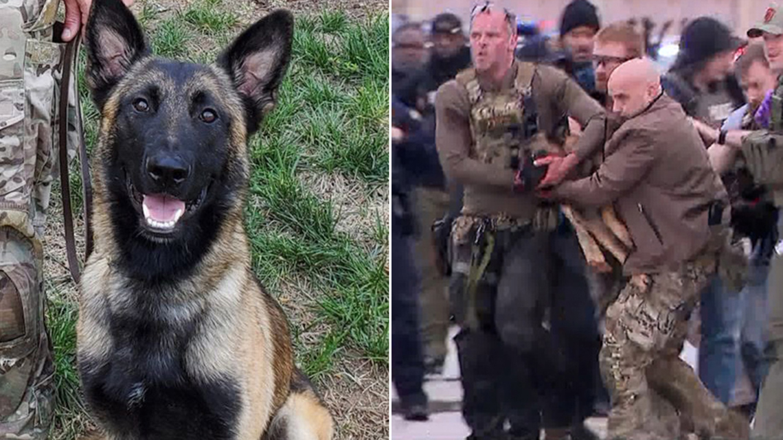  K-9 that located the suspect who killed deputy was shot and wounded after alerting officers 