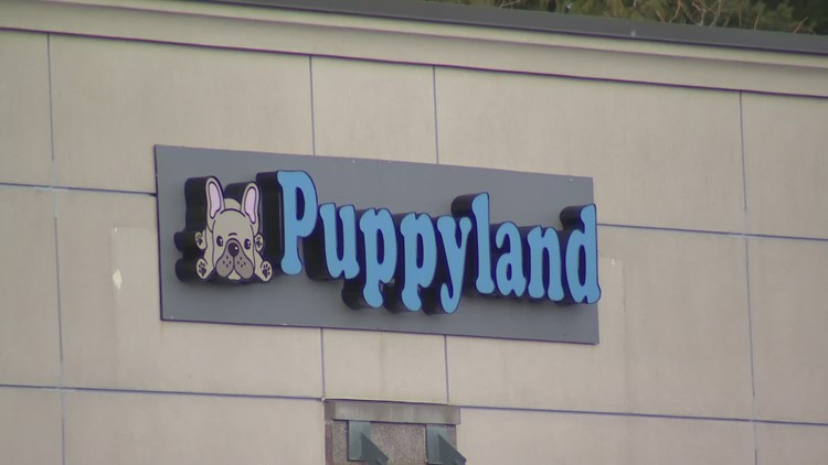  Puppyland to pay $3.75 million for selling sick puppies, pushing 'predatory' loans 