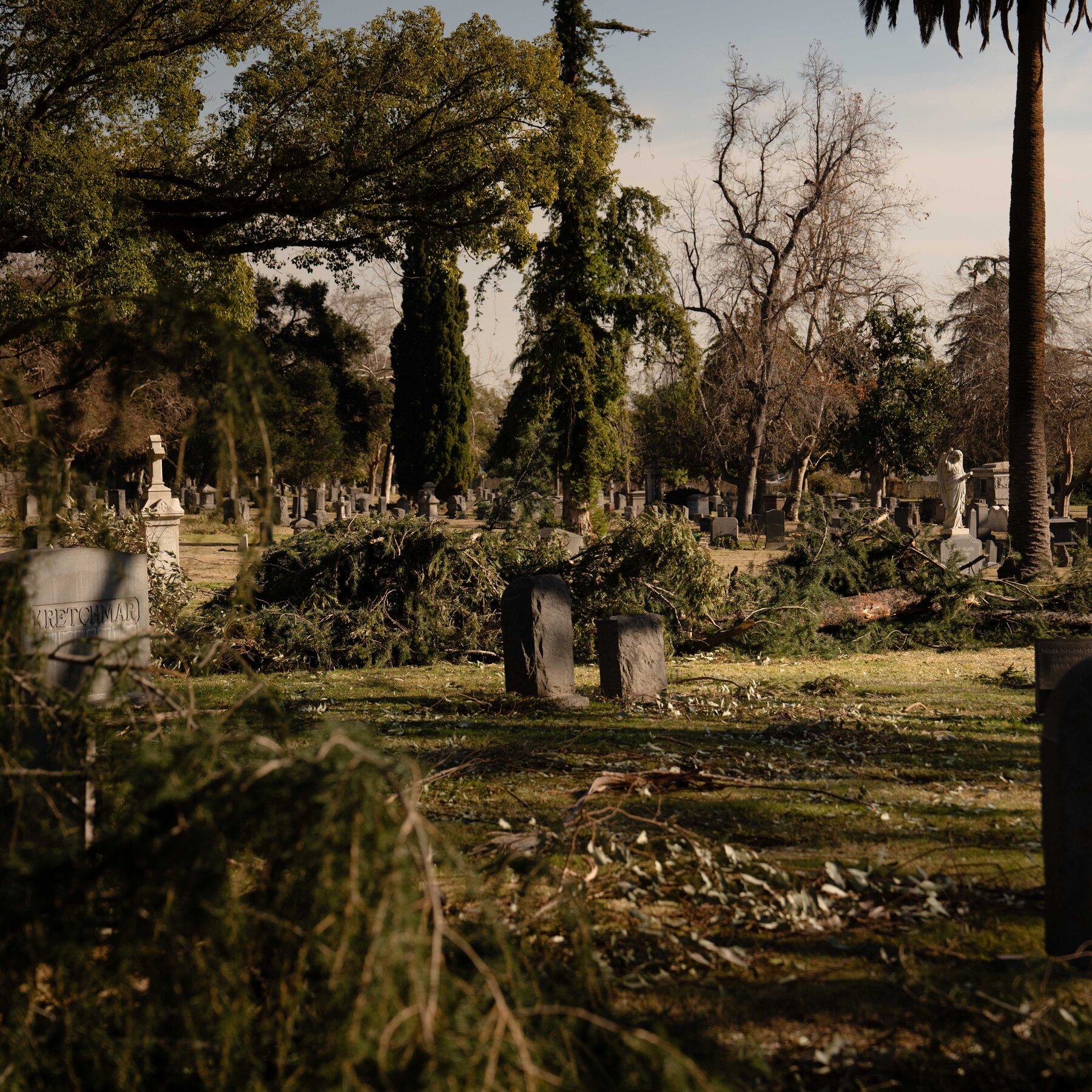  As the Living Fled, a Race to Save the Dead at an Altadena Cemetery 