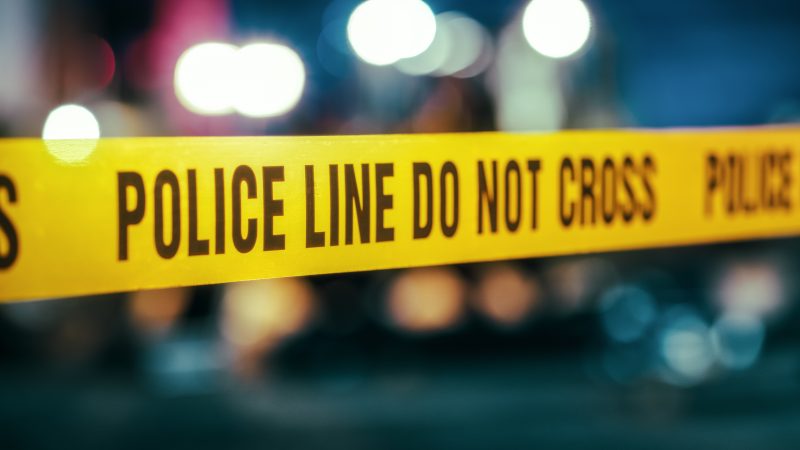  PD: La Joya man fatally electrocuted while trimming trees 