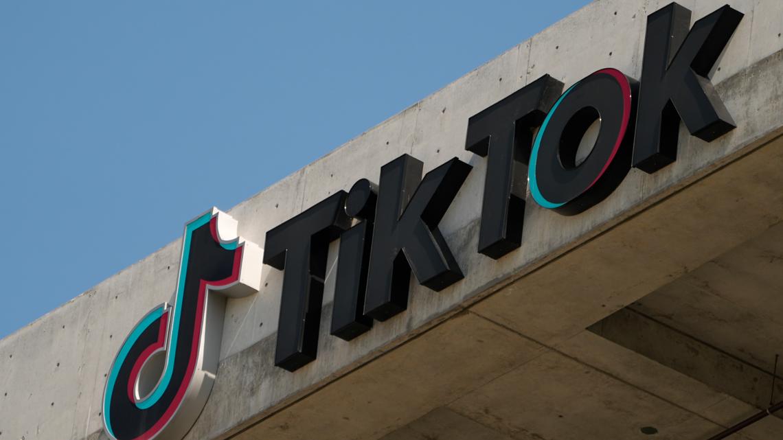  TikTok shuts down in US as ban takes effect 