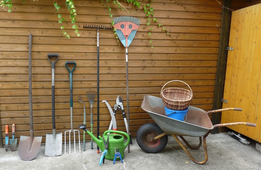  Gardening 101: The tools you need to get started 