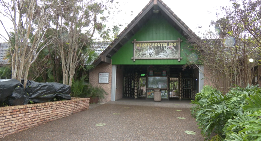  Gladys Porter Zoo prepares animals for colder temperatures 