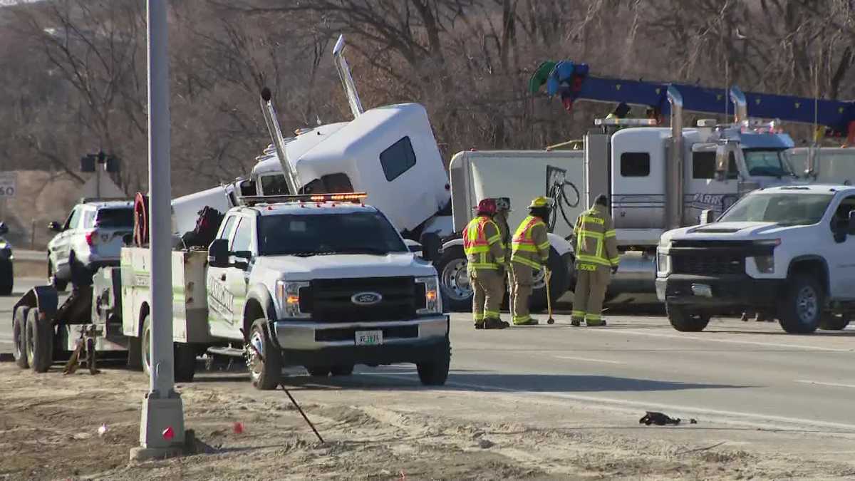  Nebraska Humane Society helps corral cattle involved in crash 