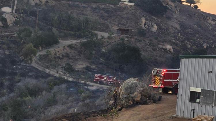  2 Oregon strike teams join fight against Lilac Fire in California 