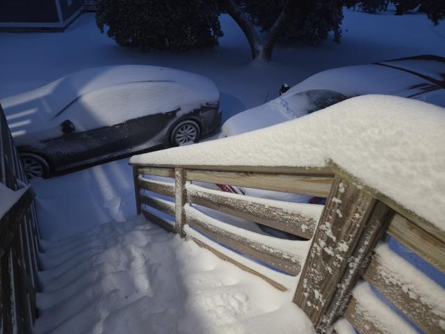  Photos: Snow fell across NC, and the scenes are picture-perfect ❄️ 