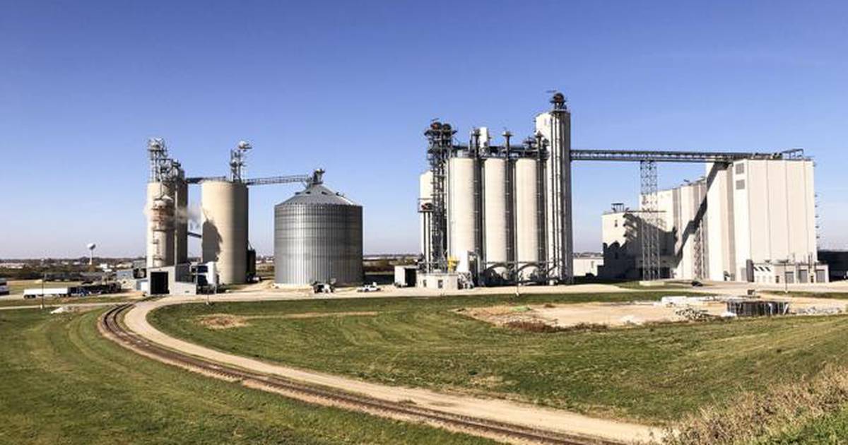   
																New Mendota wheat mill ramps up supply in northern Illinois 
															 