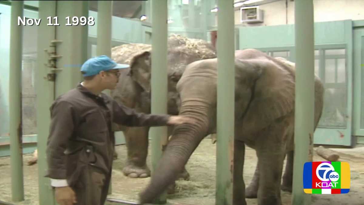  Brrrrr! Zoo animals find ways to stay cozy during winter ‘98 