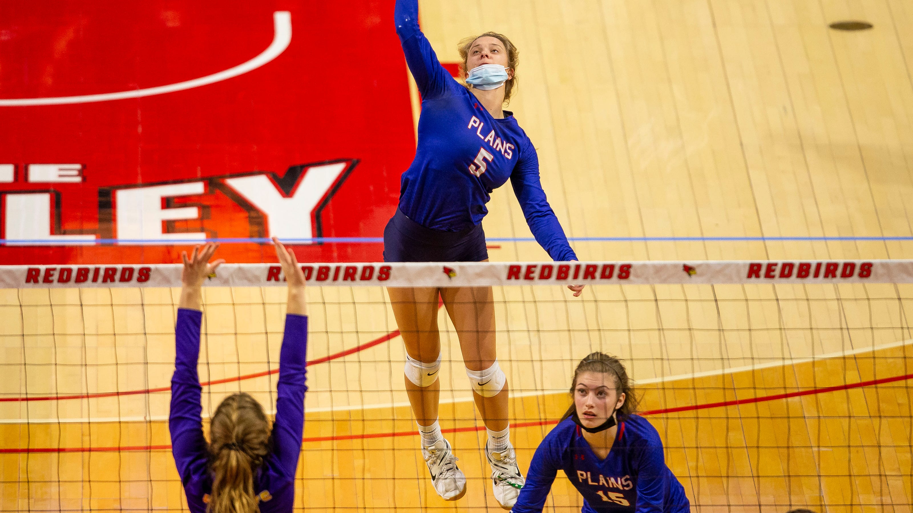  Four times the fun: Plains, Williamsville win to set up another volleyball showdown 