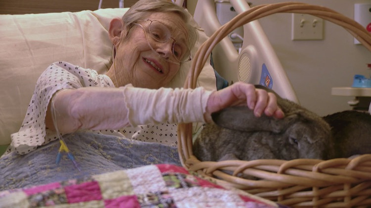  Rainbow Bridge program brings joyful animal visits to hospice patients in Whatcom County 