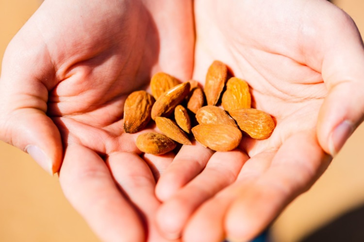  Clean label almond paste sweetens the spot in taste, health and sustainability 