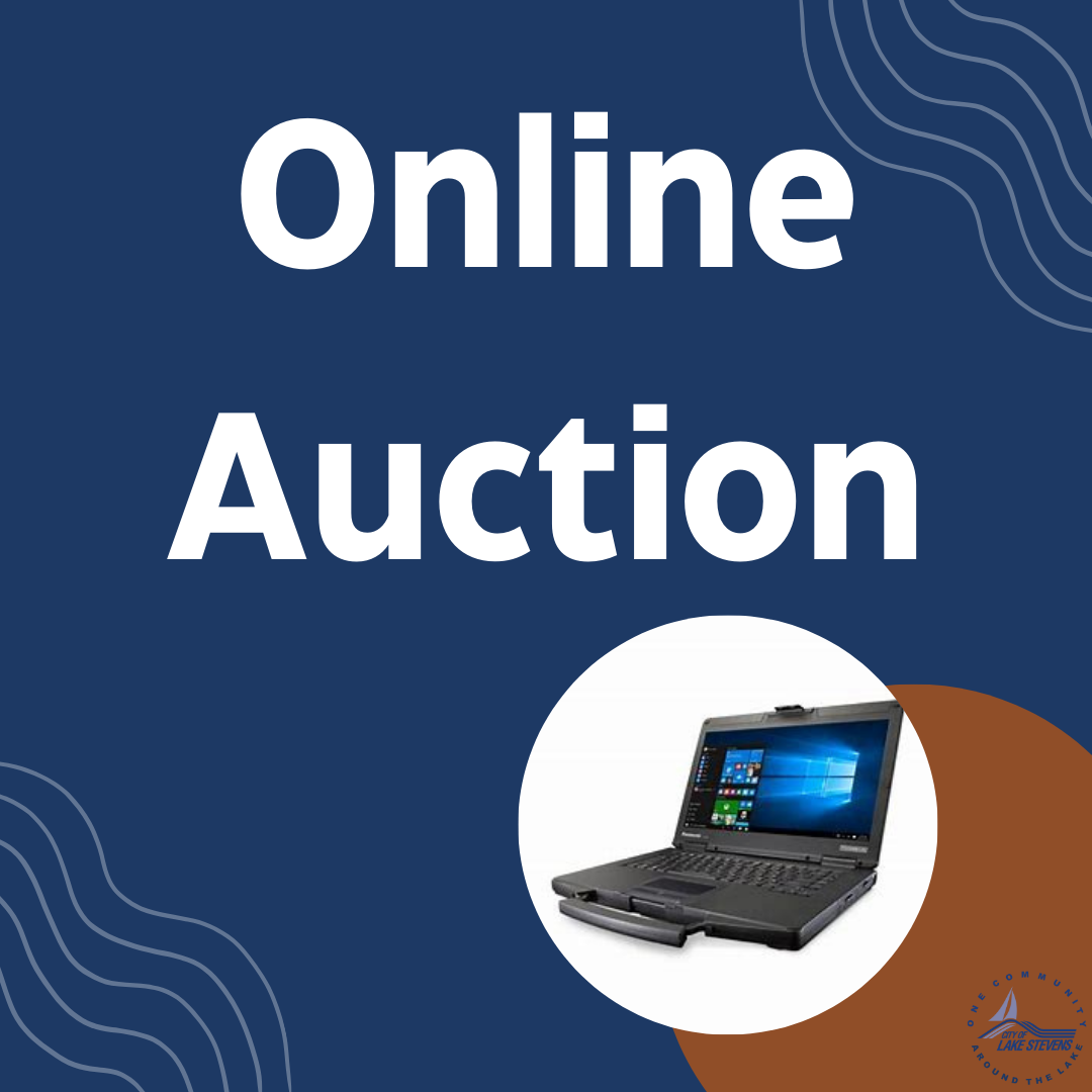  Online Auction 