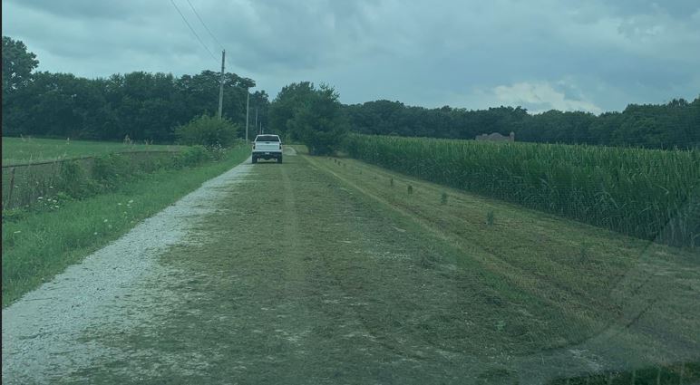  Accident Waiting to Happen: Grass on Roadway – 
