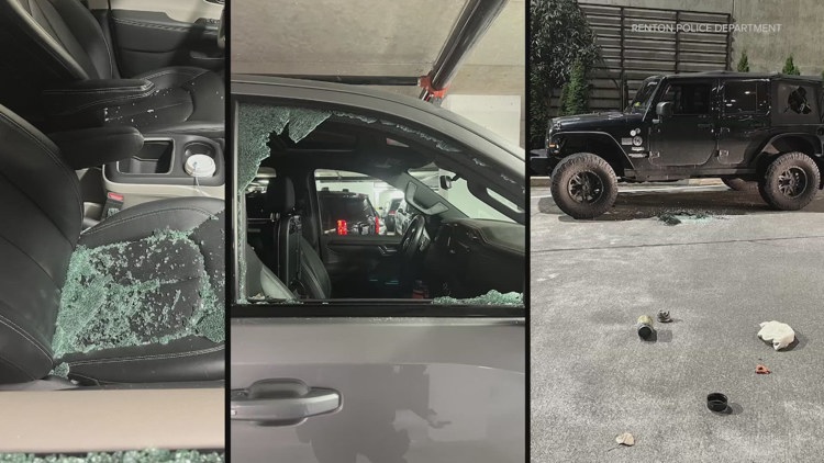  Over 60 cars broken into in Renton, at least 4 guns missing 