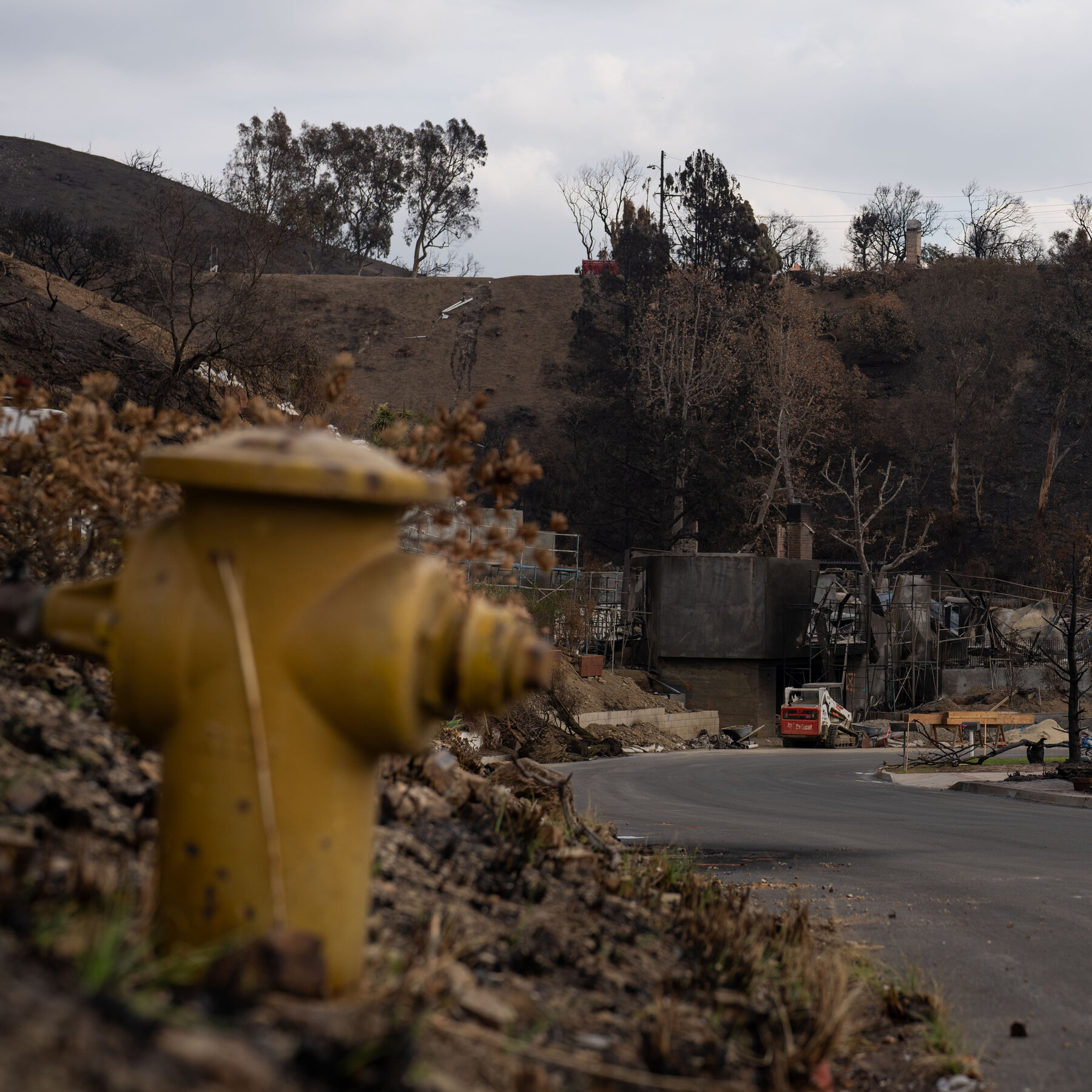  Trump Seeks to Assert More Control Over California’s Water 