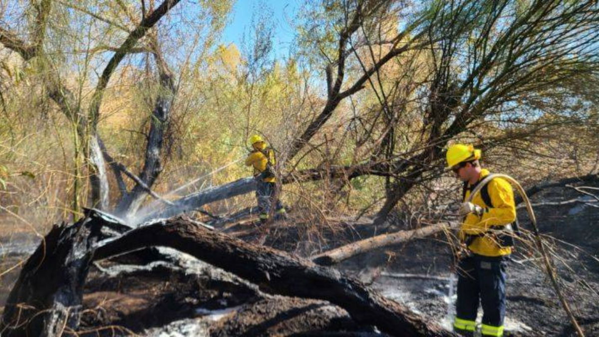  YFD responds to brush fire, no injuries reported 