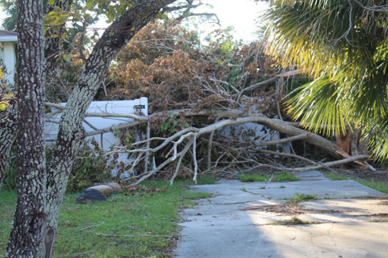  Community Voices: How unconventional childhood survival skills prepared us for hurricane outages 