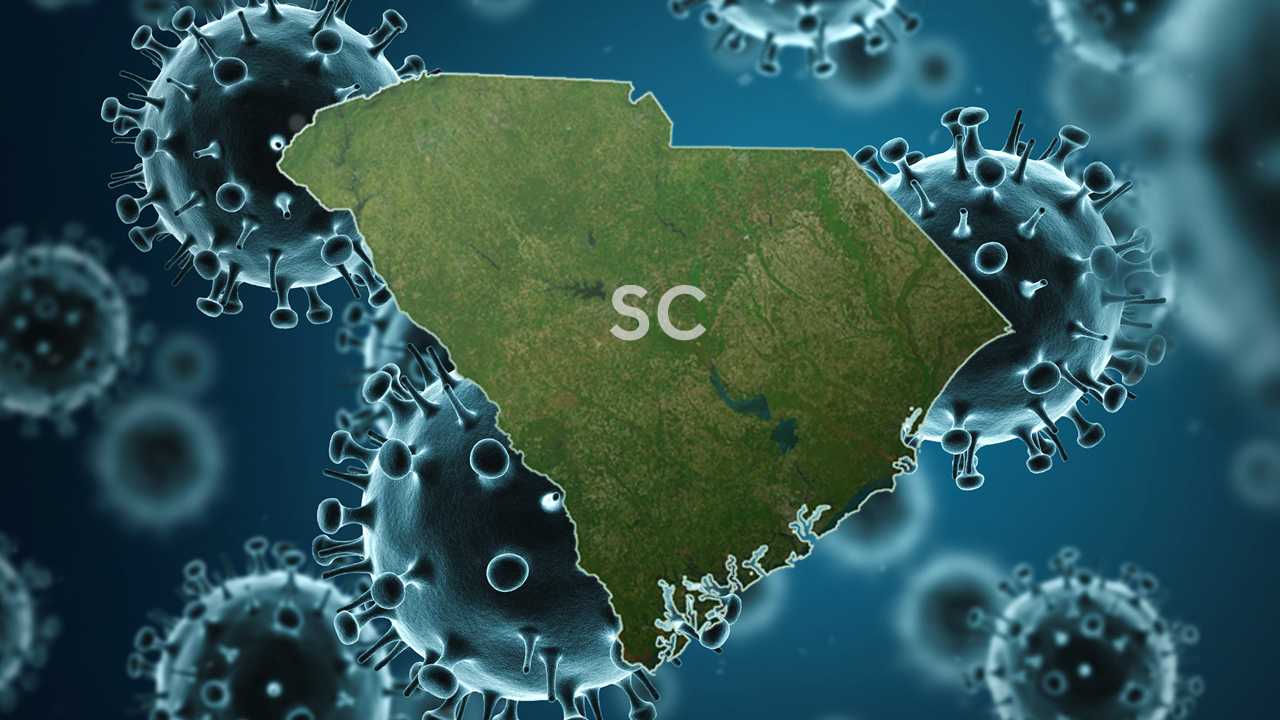  Upstate area sees highest number of flu deaths in SC so far this season, new report shows  