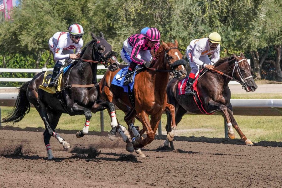  Big Fresno Fair likely without horse racing after state board vote  