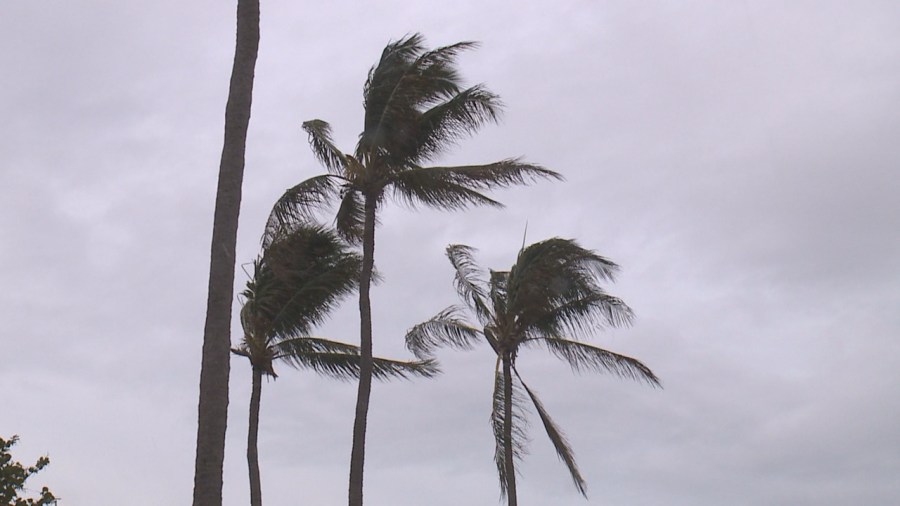  Flash Flood Watch issued for all Hawaiian Islands through Friday 