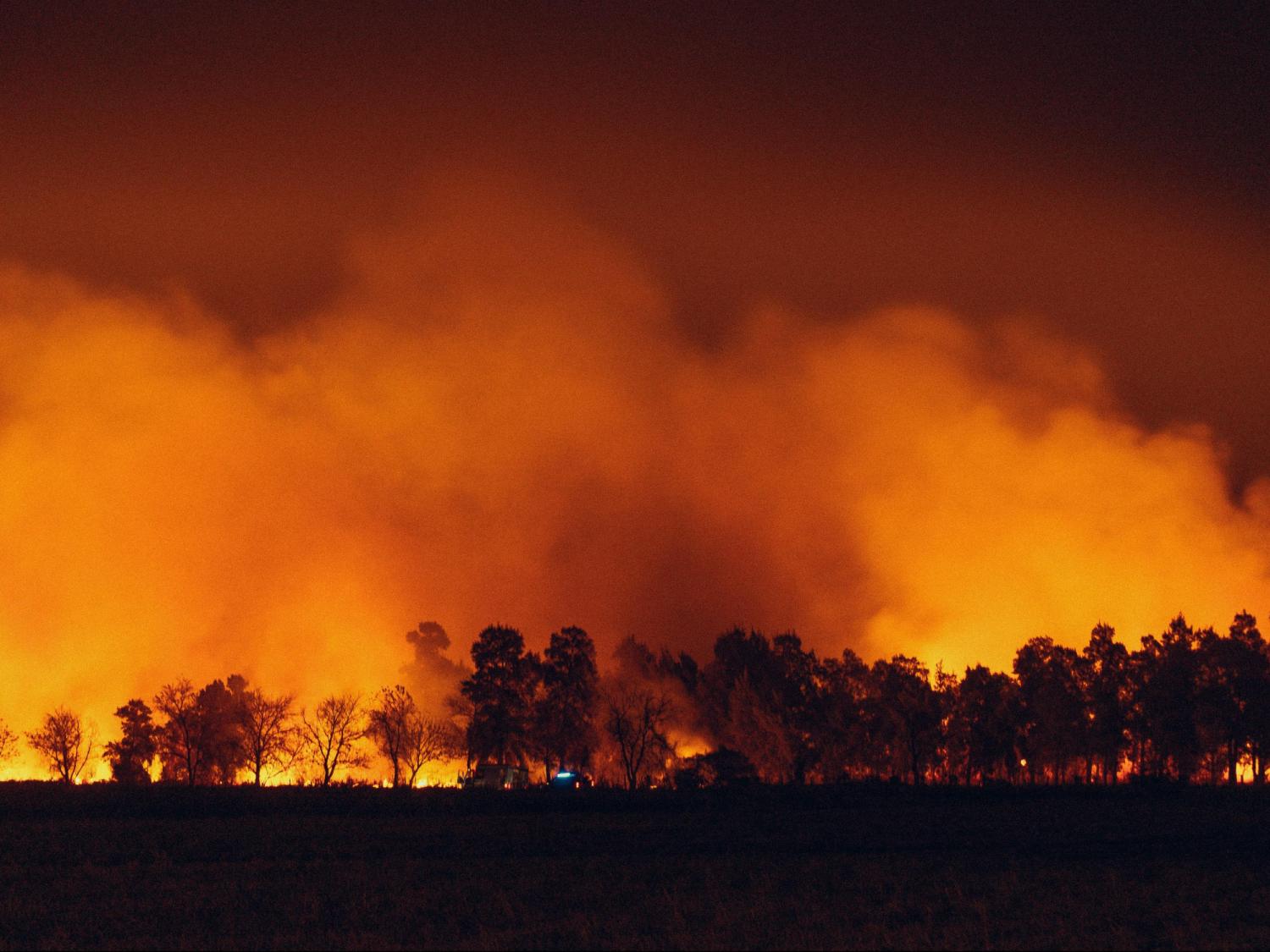  Wildfire in McDowell County a warning about dangers of drought conditions statewide 