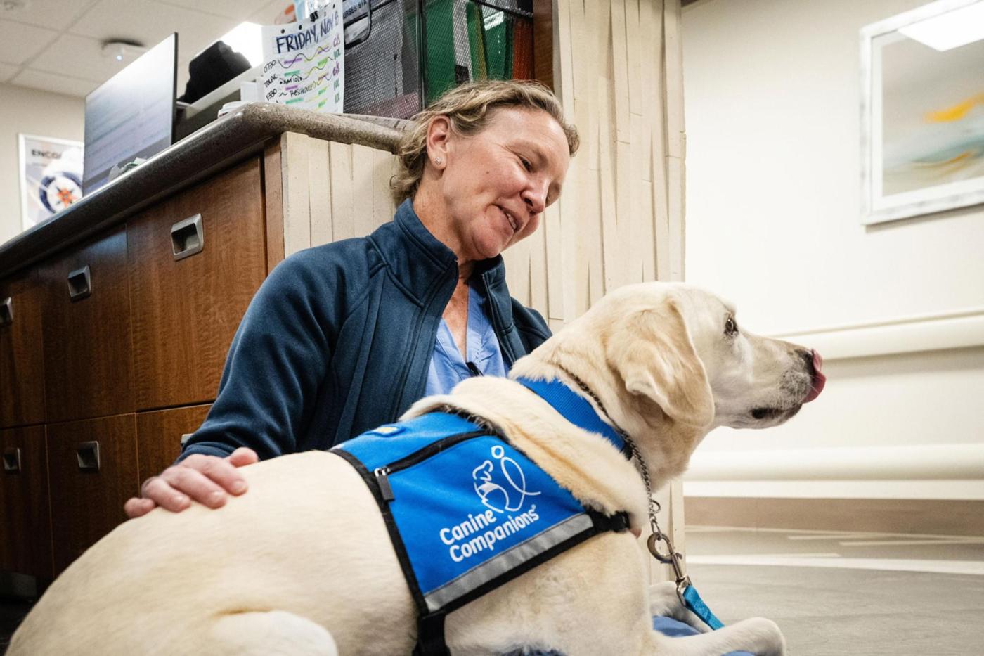  Dogs paired with providers at hospitals help ease staff and patient stress 