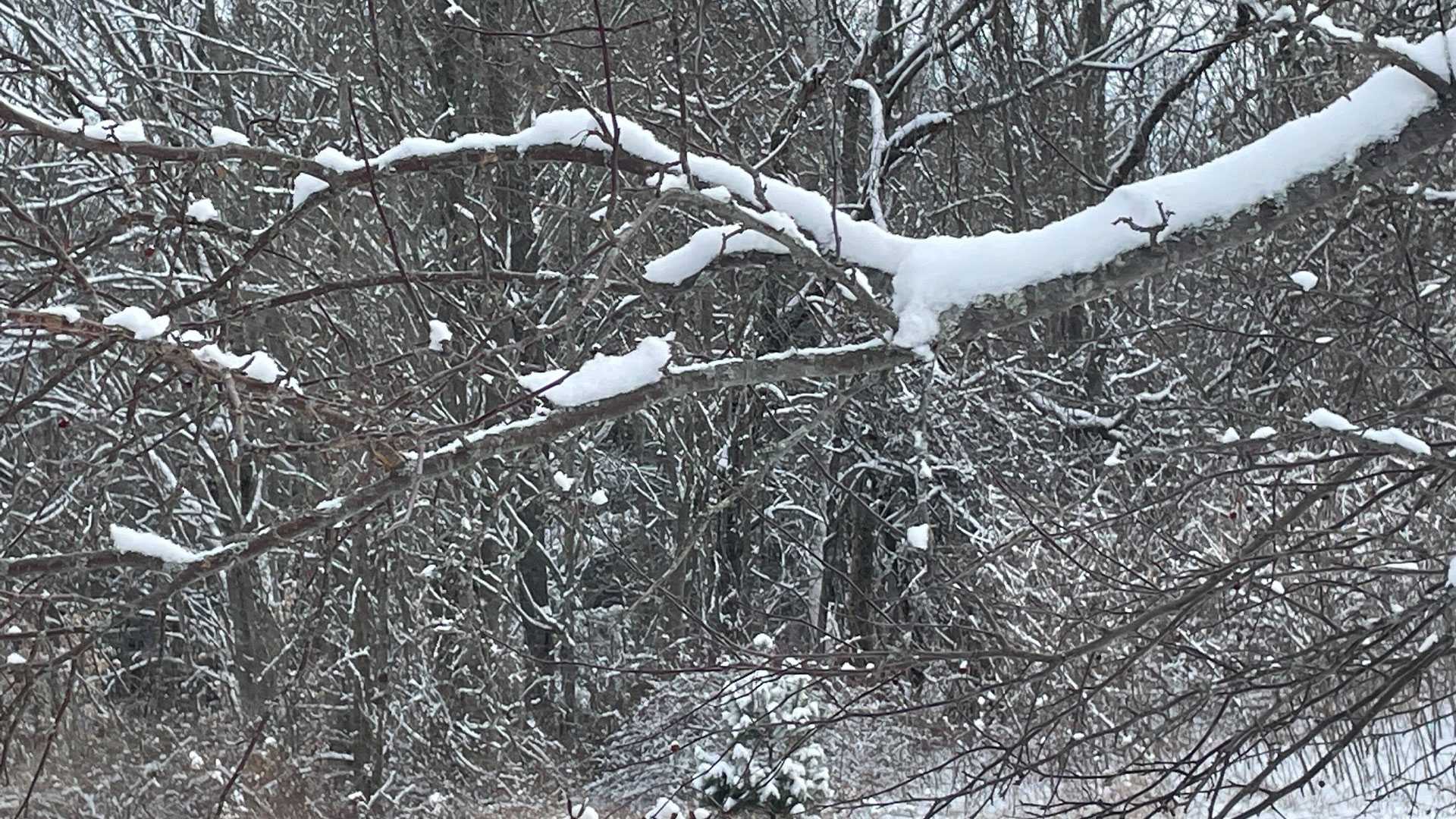  Here's how much snow has fallen so far in Maine 