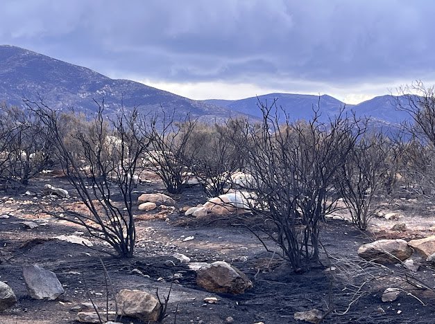  All evacuation orders lifted as Border 2 Fire now 100% contained 