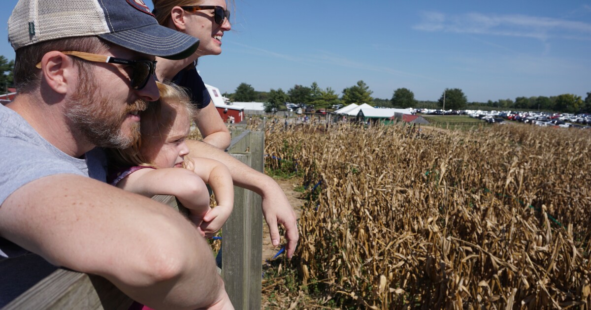  How 12 Acres Of Cornfield Became A Maze At Eckert’s Millstadt Fun Farm 