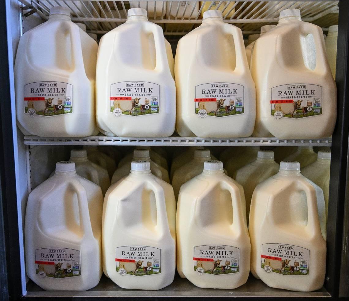  Led by RFK Jr., conservatives embrace raw milk. Regulators say it’s dangerous 