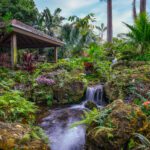  Arboretum kiosk: The project has become a process 