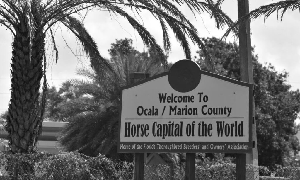  In my opinion, Ocala is losing its title as ‘Horse capital of the World’ 