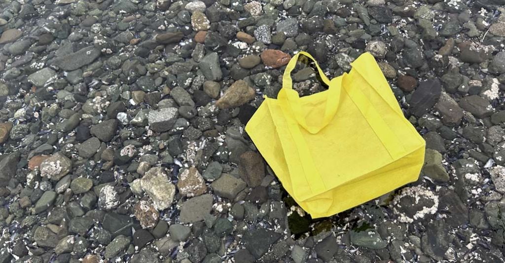  Will Oregon ban on plastic checkout bags expand?  