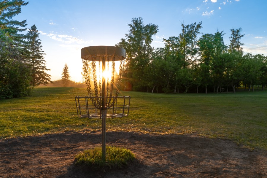  Disc golf baskets being removed from Fresno's Woodward Park: Here's why 